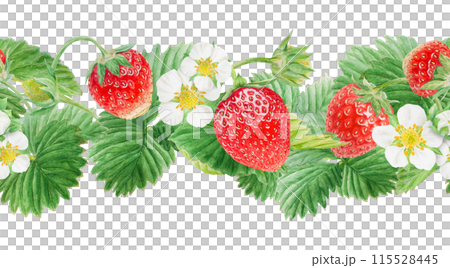 Red strawberry seamless border. Cut in half and whole berries. Hand drawn watercolor ornament. Delicious food art, fresh botanical realistic painting. Summer berry banner for menu, packaging, prints 115528445