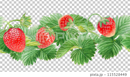 Red strawberry seamless border. Cut in half and whole berries. Hand drawn watercolor ornament. Delicious food art, fresh botanical realistic painting. Summer berry banner for menu, packaging, prints Red strawberry seamless border. Cut in half and whole berries. Hand drawn watercolor ornament. Delicious food art, fresh botanical realistic painting. Summer berry banner for menu, packaging, prints 115528449