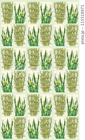 vector pattern with cactus succulents and succulents 115528971
