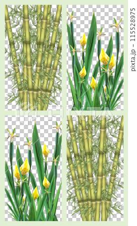 vector pattern with cactus succulents and succulents vector pattern with cactus succulents and succulents 115528975