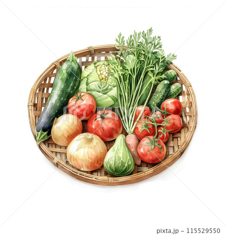 白背景に竹ザルに入った色々な種類の野菜の水彩イラスト 115529550
