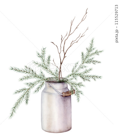 Watercolor illustration of bouquet of tree branch without leaves in metal can for milk and fir branches. Brown dry straight twig. Isolated on a white background. For print design minimalist. 115529713