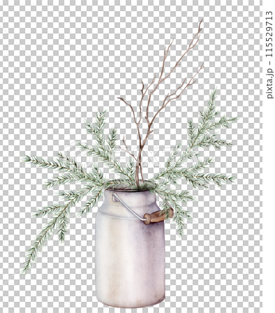 Watercolor illustration of bouquet of tree branch without leaves in metal can for milk and fir branches. Brown dry straight twig. Isolated on a white background. For print design minimalist. 115529713