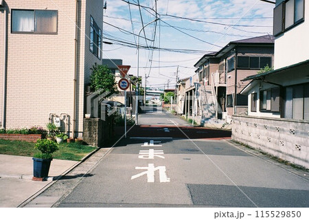 フィルムカメラで撮る路地 115529850