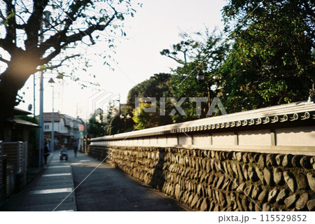 フィルムカメラで撮る路地 115529852