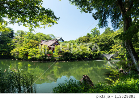 井の頭恩賜公園　井の頭池と井の頭弁財天大盛寺　噴水　夏晴れの青空　東京都三鷹市 115529893