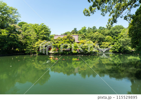 井の頭恩賜公園　井の頭池と井の頭弁財天大盛寺の眺める　噴水　夏晴れの青空　東京都三鷹市 115529895