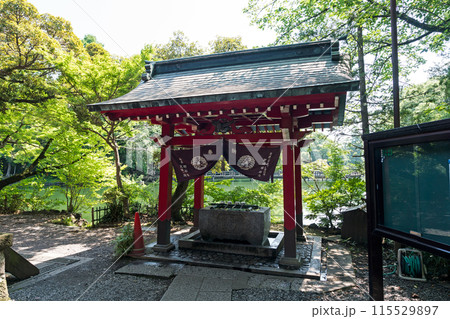 井の頭恩賜公園 井の頭弁財天大盛寺 夏晴れの青空 東京都武蔵野市 井の頭恩賜公園 井の頭弁財天大盛寺 夏晴れの青空 東京都武蔵野市 115529897