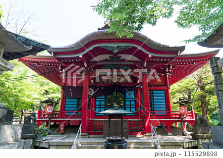 井の頭恩賜公園 井の頭弁財天大盛寺 真正面 夏晴れの青空 東京都武蔵野市 井の頭恩賜公園 井の頭弁財天大盛寺 真正面 夏晴れの青空 東京都武蔵野市 115529898
