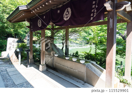 井の頭恩賜公園 井の頭弁財天大盛寺 裏側 夏晴れの青空 東京都武蔵野市 井の頭恩賜公園 井の頭弁財天大盛寺 裏側 夏晴れの青空 東京都武蔵野市 115529901