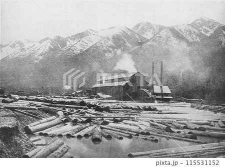 昔のカナダ 林業 昔のカナダ 林業 115531152