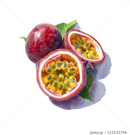 白背景にパッションフルーツの水彩イラスト 115532794