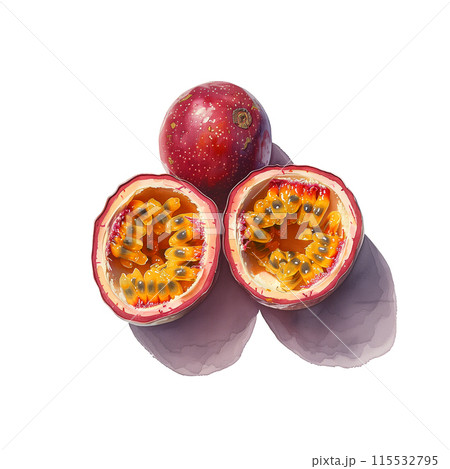 白背景にパッションフルーツの水彩イラスト 115532795