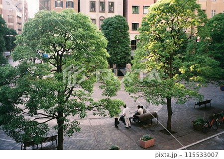 フィルムカメラで撮る木のあるヨーロッパ風の公園 115533007