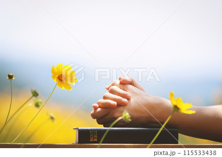 Christian praying with hands together on the holy bible and yellow flower background swaying in the wind Christian praying with hands together on the holy bible and yellow flower background swaying in the wind 115533438