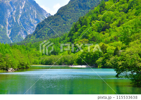 春 上高地 大正池 春 上高地 大正池 115533638