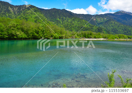 春　上高地　大正池　 115533697