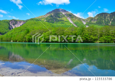 春 上高地 大正池 焼岳 春 上高地 大正池 焼岳 115533786