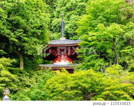 【奈良県】生駒市 宝山寺 (2024/06/04撮影) 115533815