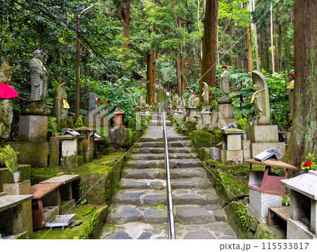 【奈良県】生駒市 宝山寺 (2024/06/04撮影) 115533817