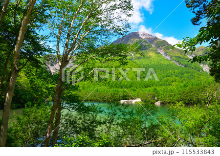 春　上高地　大正池　焼岳 115533843