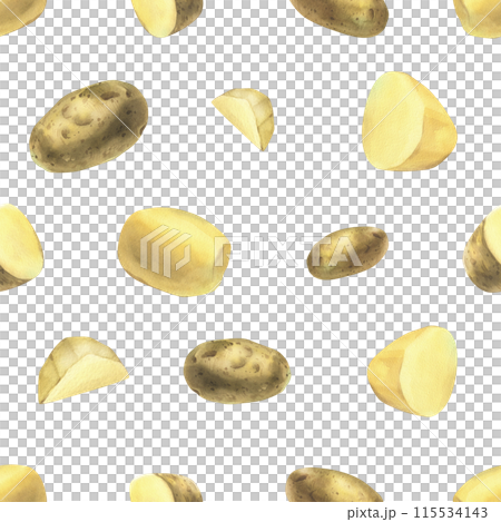 White potatoes, peeled whole tubers and slices . Watercolor illustration, hand drawn on the theme of harvest, cooking, food, packaging, vegetable shop design. Seamless pattern simple 115534143