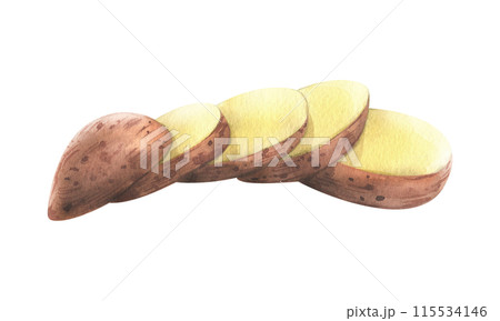 Red potatoes in brown skin, cut into round slices, stacked. Watercolor illustration, hand-drawn on the theme of harvest, cooking, food, vegetable shop design. Element isolated from background. Red potatoes in brown skin, cut into round slices, stacked. Watercolor illustration, hand-drawn on the theme of harvest, cooking, food, vegetable shop design. Element isolated from background. 115534146