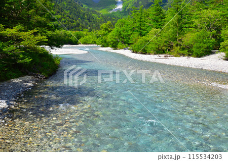 春　上高地　梓川 115534203