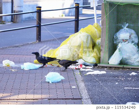 荒らされたごみ集積所 荒らされたごみ集積所 115534240