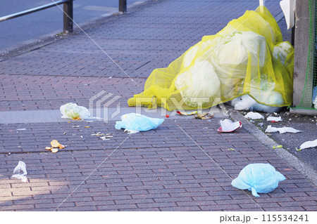 荒らされたごみ集積所 荒らされたごみ集積所 115534241
