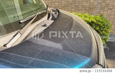 春の到来！車の花粉　〜pollen 115534268