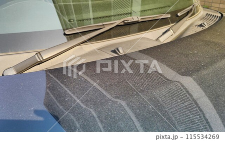 春の到来！車の花粉　〜pollen 115534269