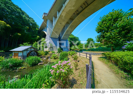 東京都稲城市若葉台の上谷戸大橋(かさやとおおはし)を公園の歩道から水車小屋と共に見る 東京都稲城市若葉台の上谷戸大橋(かさやとおおはし)を公園の歩道から水車小屋と共に見る 115534625