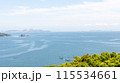 青い空と青い海 115534661