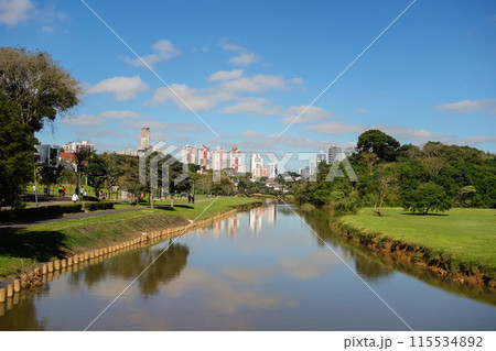 Barigui park in Curitiba, Brazil, on sunny day. Panoramic 115534892