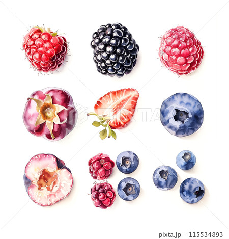 白背景にいろいろな種類のベリーの水彩イラスト 白背景にいろいろな種類のベリーの水彩イラスト 115534893