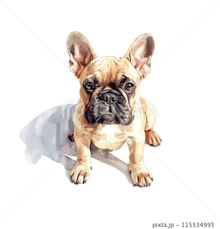 白背景にフレンチブルドッグの水彩イラストのイラスト素材 [115534995