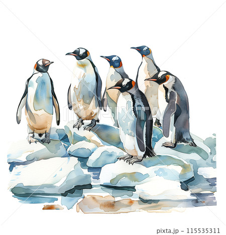 白背景にペンギンの水彩イラスト 白背景にペンギンの水彩イラスト 115535311