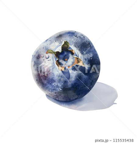 白背景にブルーベリーの水彩イラスト 白背景にブルーベリーの水彩イラスト 115535438