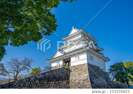 小田原城 天守閣 本丸 本丸広場 小田原城 天守閣 本丸 本丸広場 115535825