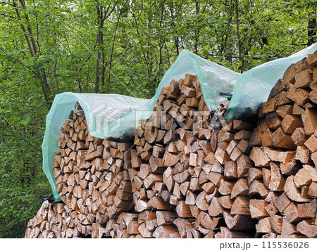 Firewood harvested for heating in winter. Chopped firewood on a stack. 115536026
