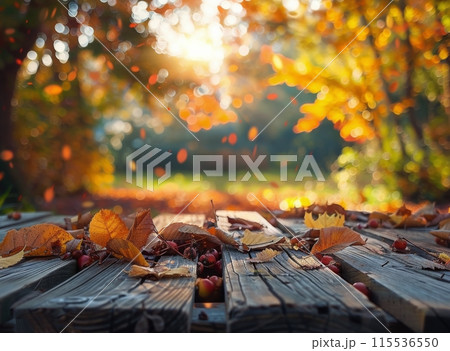 Wooden Pathway Through Autumn Forest With Golden Sunlight 115536550