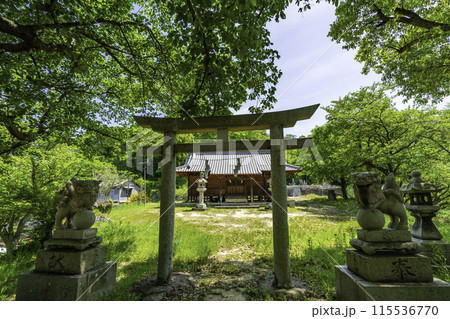 生口島 生口神社 鳥居 広島県尾道市 生口島 生口神社 鳥居 広島県尾道市 115536770