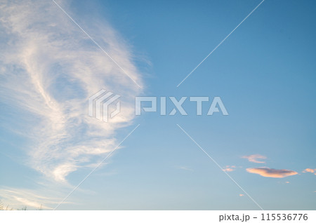 青空に浮かぶ雲 青空に浮かぶ雲 115536776