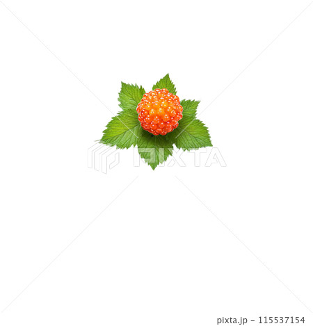 Salmonberry with orange berries and green leaves in dynamic swirl Food and culinary concept 115537154