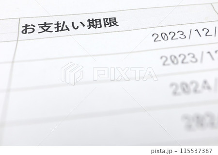 お支払い期限と書かれた書類 115537387