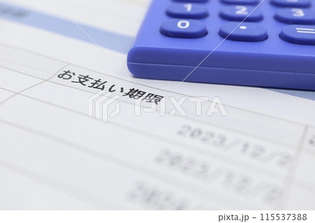 お支払い期限と書かれた書類 115537388