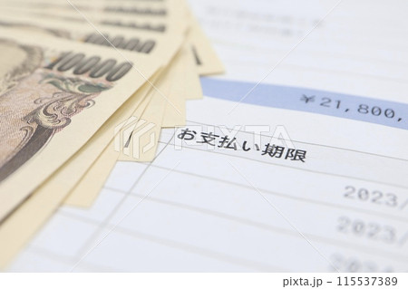 お支払い期限と書かれた書類 115537389