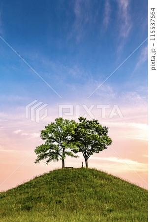 夕暮れ時の丘の上の二本の木 夕暮れ時の丘の上の二本の木 115537664