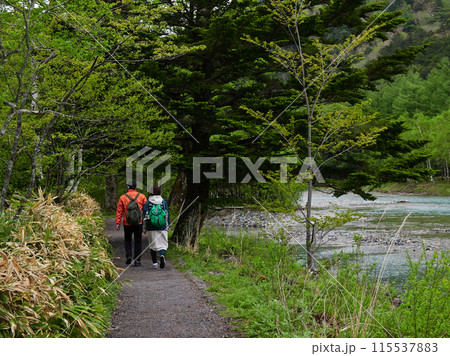 雨の日に初夏の新緑を楽しみながら観光名所上高地で散歩する観光客の姿 115537883